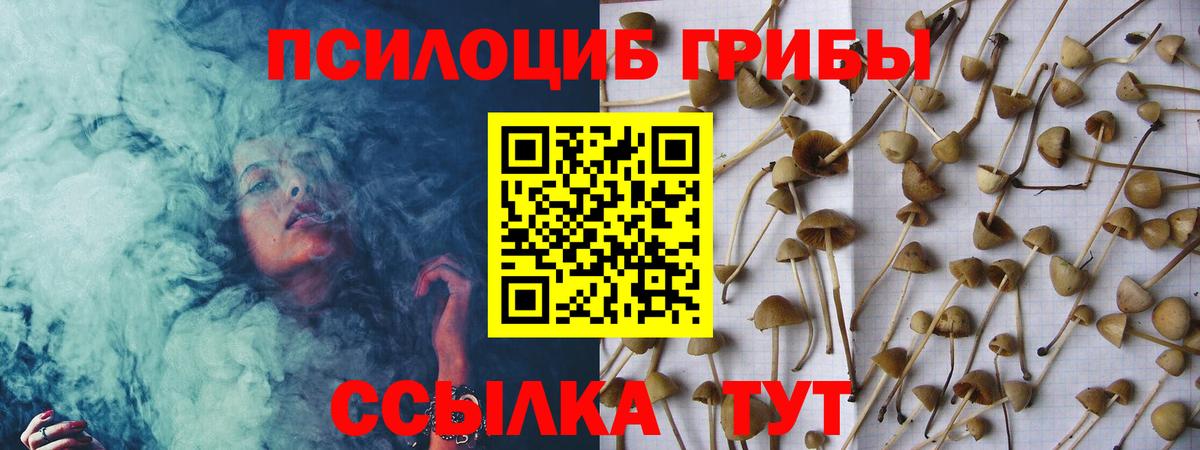 Псилоцибиновые грибы мухоморы Гусь-Хрустальный