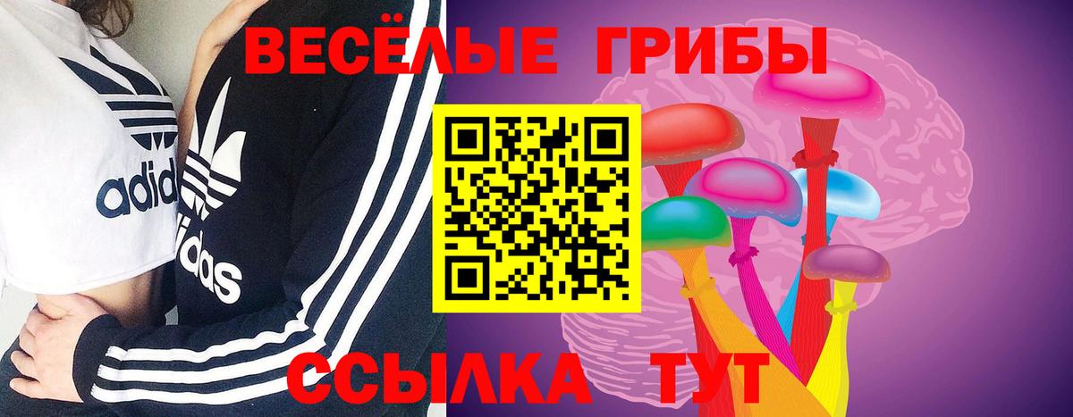 Гусь-Хрустальный  Псилоцибиновые грибы Cubensis  Вход с VPN 